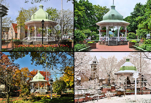 4 Seasons 11x14 Photo Print